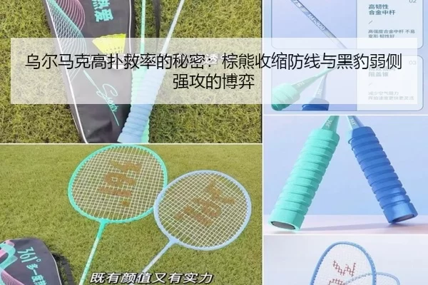 wu-er-ma-ke-gao-pu-jiu-lv-de-mi-mi-zong-xiong-shou-suo-fang-xian-yu-hei-bao-ruo-ce-qiang-gong-de-bo-yi-2-789.jpg